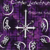 CARPE TENEBRUM - Mirrored Hate Painting - LP